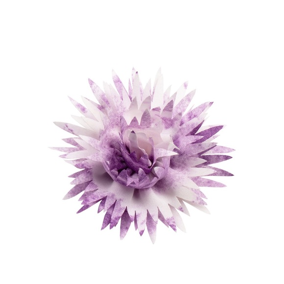 Hair accessory - Picture 1 of 1